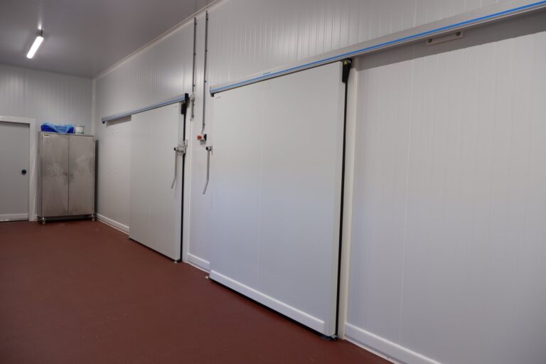 65261128_2354457127974570_529508556370608128_n