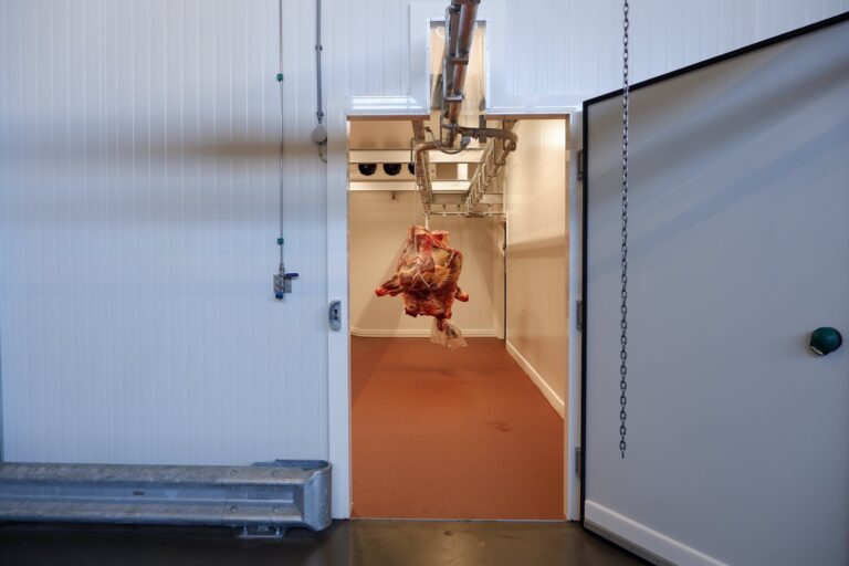 65280249_2354455394641410_1630999463990394880_o